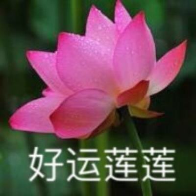 扶贫公益行：《中国村干部》走进贵州毕节
